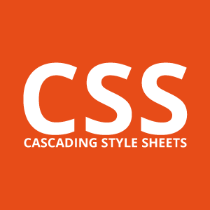 types of css in hindi